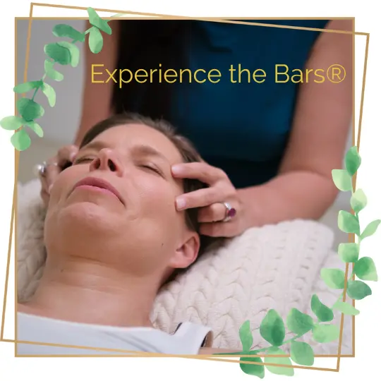 experience the bars i offer access bars